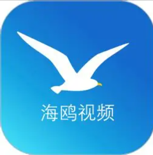 海鸥VPN Logo